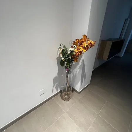 Okrtheway San Roque Street Apartamento
